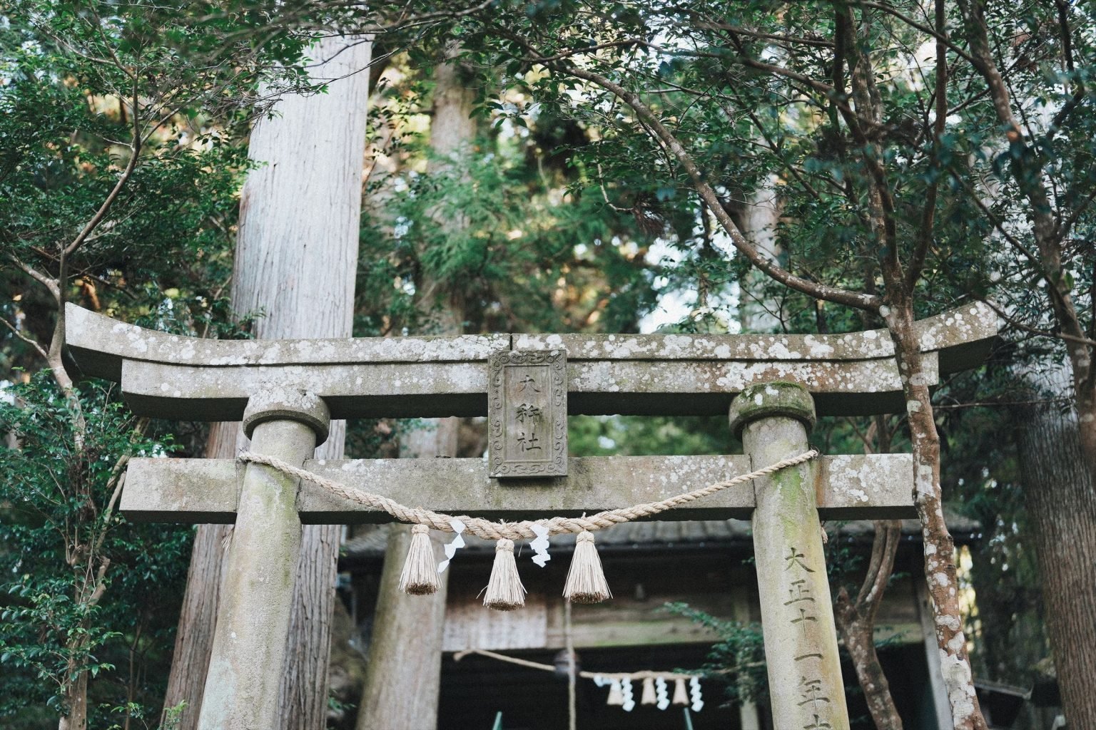 大杵社 鳥居