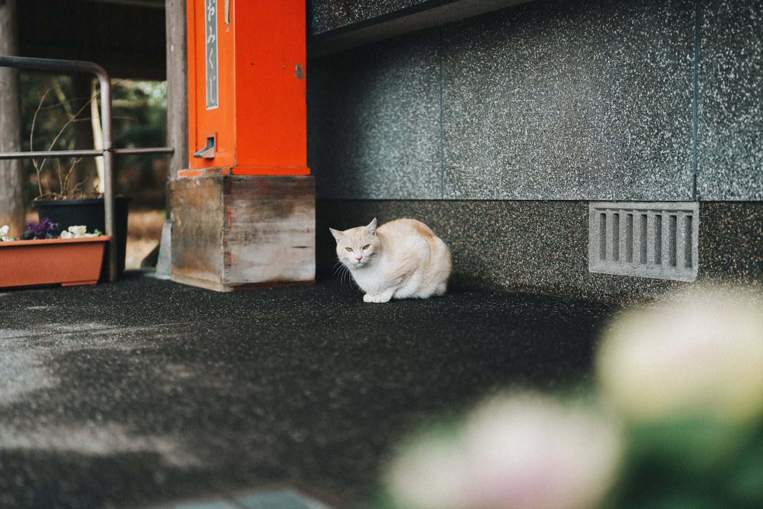 Unagihime Shrine grounds
